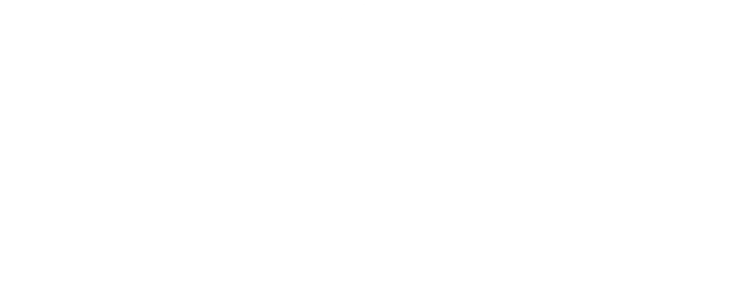 jrv_logo_white_adventureVanUpfits