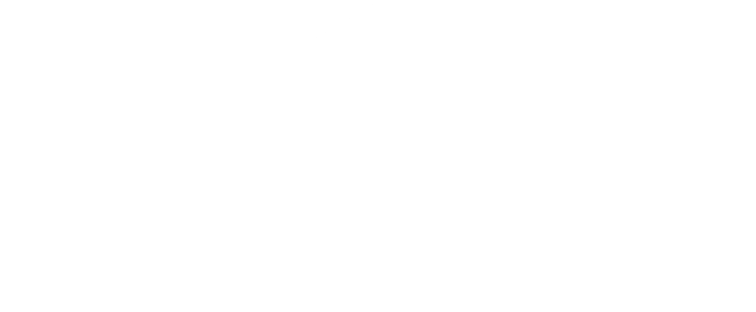 jrv_logo_white_collisionCenter